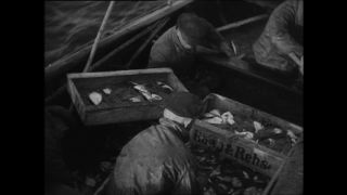 Link zum Video | Paul Lieberenz