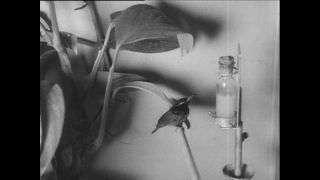 Link to Video | Paul Karl Lieberenz