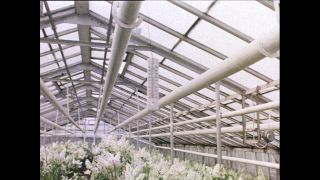 Link to Video | Paul Karl Lieberenz