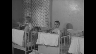 Link to Video | Paul Karl Lieberenz