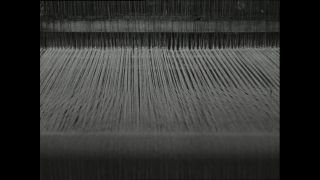 Link to Video | Paul Karl Lieberenz