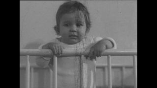 Link to Video | Paul Karl Lieberenz