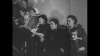 Link to Video | Paul Karl Lieberenz