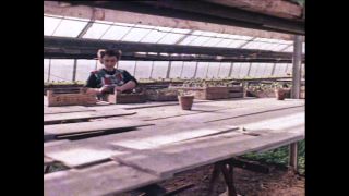 Link to Video | Paul Karl Lieberenz