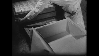 Link to Video | Paul Karl Lieberenz