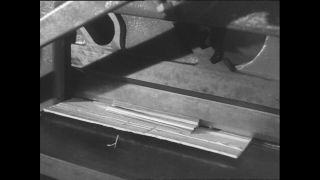 Link to Video | Paul Karl Lieberenz