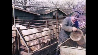 Link to Video | Paul Karl Lieberenz