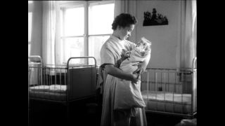 Link to Video | Paul Karl Lieberenz