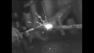 Link zum Video | Paul Lieberenz