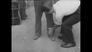 Link to Video | Paul Karl Lieberenz