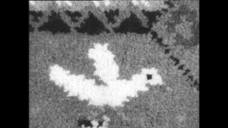 Link zum Video | Paul Lieberenz