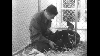 Link zum Video | Paul Lieberenz