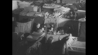 Link to Video | Paul Karl Lieberenz