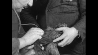 Link to Video | Paul Karl Lieberenz