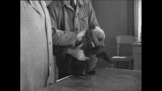 Link to Video | Paul Karl Lieberenz