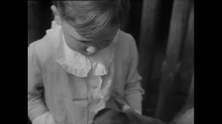 Link to Video | Paul Karl Lieberenz