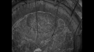 Link to Video | Paul Karl Lieberenz