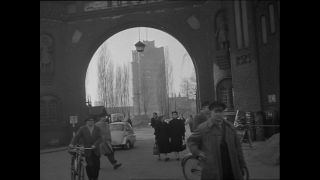 Link to Video | Paul Karl Lieberenz