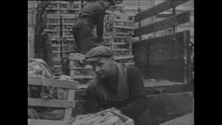 Link to Video | Paul Karl Lieberenz