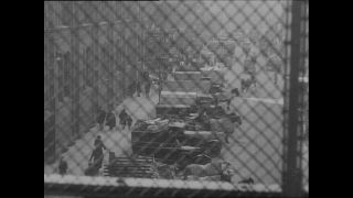 Link to Video | Paul Karl Lieberenz