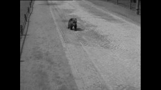 Link to Video | Paul Karl Lieberenz