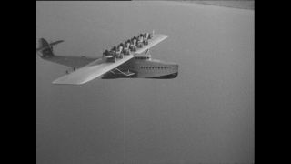 Link to Video | Paul Karl Lieberenz, airplane