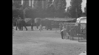 Link to Video | Paul Karl Lieberenz, Sarrasani