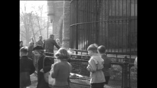 Link to Video | Paul Karl Lieberenz