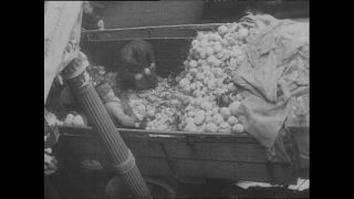 Link zum Video | Paul Lieberenz