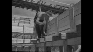 Link zum Video | Paul Lieberenz