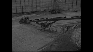 Link to Video | Paul Karl Lieberenz