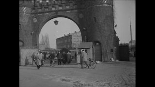 Link to Video | Paul Karl Lieberenz