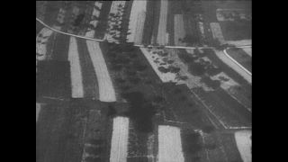 Link to Video | Paul Karl Lieberenz, airplane