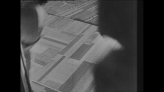 Link to Video | Paul Karl Lieberenz, airplane