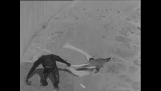 Link to Video | Paul Karl Lieberenz