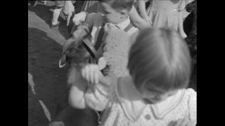 Link to Video | Paul Karl Lieberenz