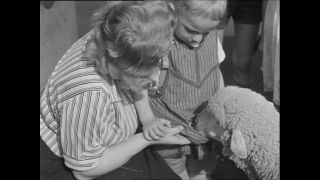 Link to Video | Paul Karl Lieberenz