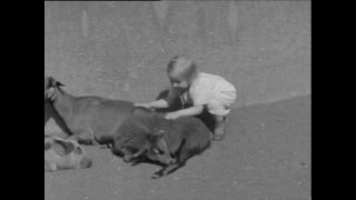 Link to Video | Paul Karl Lieberenz