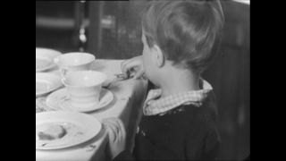 Link to Video | Paul Karl Lieberenz