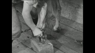 Link to Video | Paul Karl Lieberenz