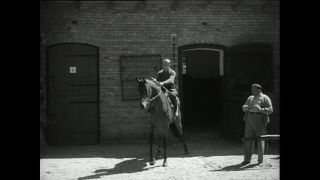 Link to Video | horse stud farm, Paul Karl Lieberenz, horse breeding, Equidae, Germany, 1950s, Bad Homburg vor der Höhe, Erlenhof Stud Farm
