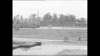 Link to Video | Paul Karl Lieberenz