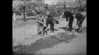 Link to Video | Paul Karl Lieberenz