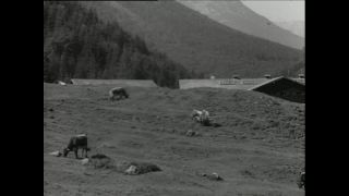 Link to Video | Paul Karl Lieberenz