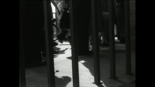 Link to Video | Paul Karl Lieberenz