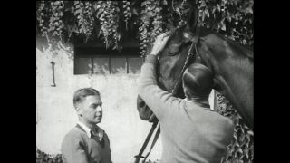 Link to Video | horse stud farm, Paul Karl Lieberenz, horse breeding, Equidae, Germany, 1950s, Bad Homburg vor der Höhe, Erlenhof Stud Farm