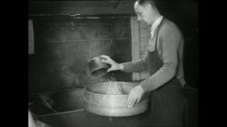 Link to Video | horse stud farm, Paul Karl Lieberenz, horse breeding, Equidae, Germany, 1950s, Bad Homburg vor der Höhe, Erlenhof Stud Farm