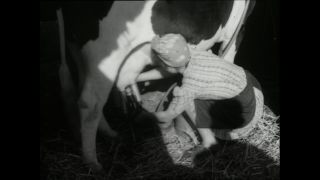 Link to Video | Paul Karl Lieberenz