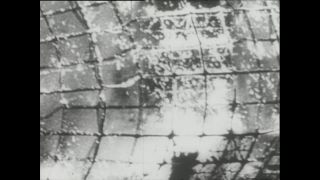 Link to Video | Paul Karl Lieberenz