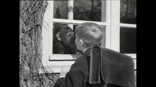 Link to Video | Paul Karl Lieberenz